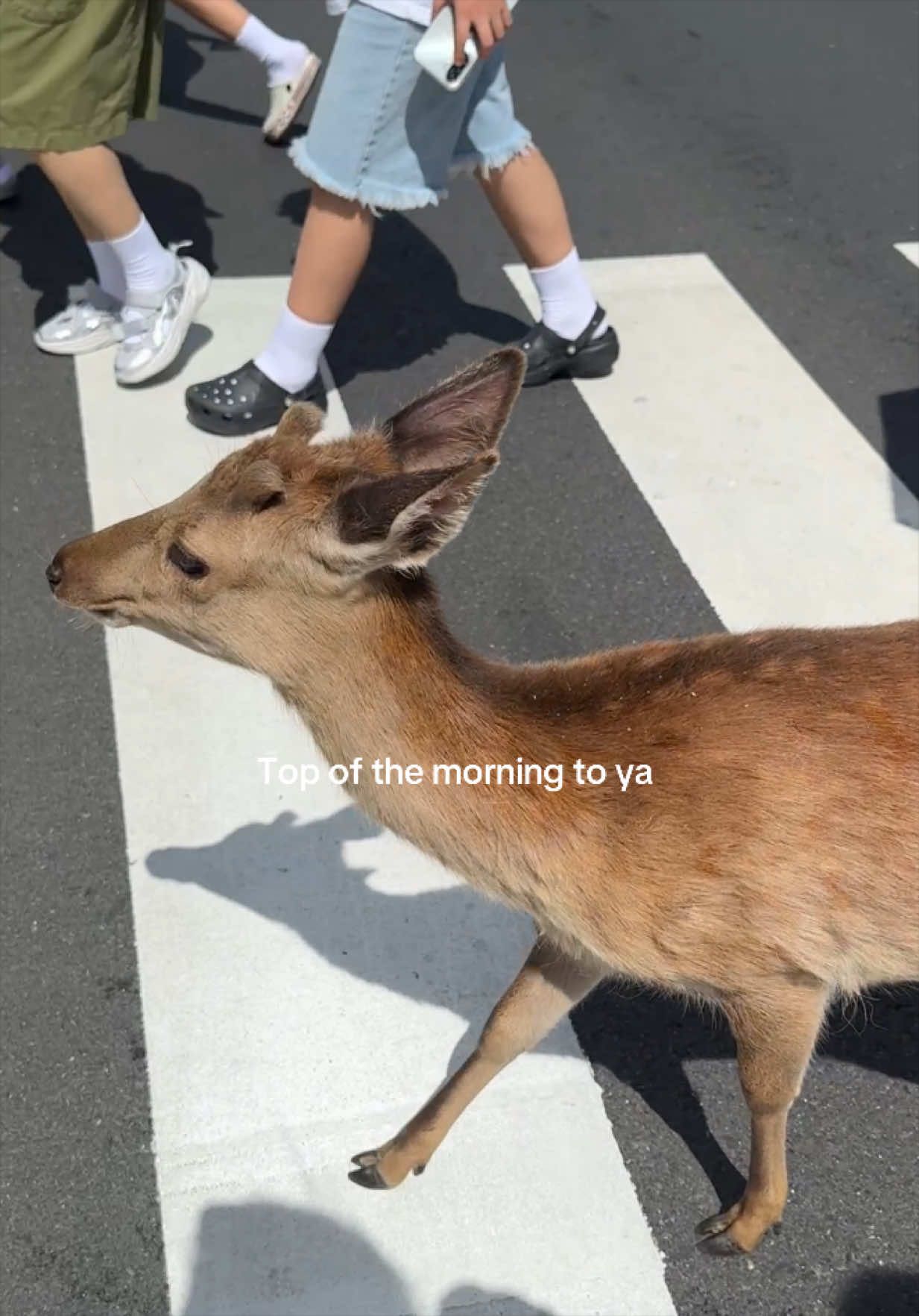 @Casey