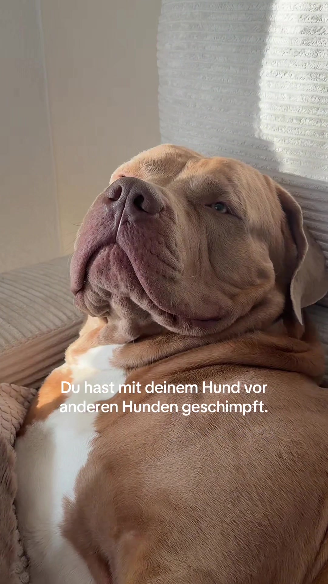 @Jessica &bull; mom of Ruffy🦴🤍