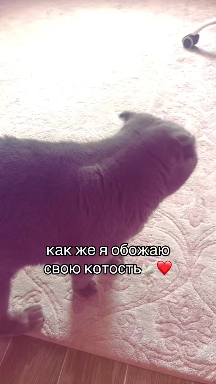 @дашка💘