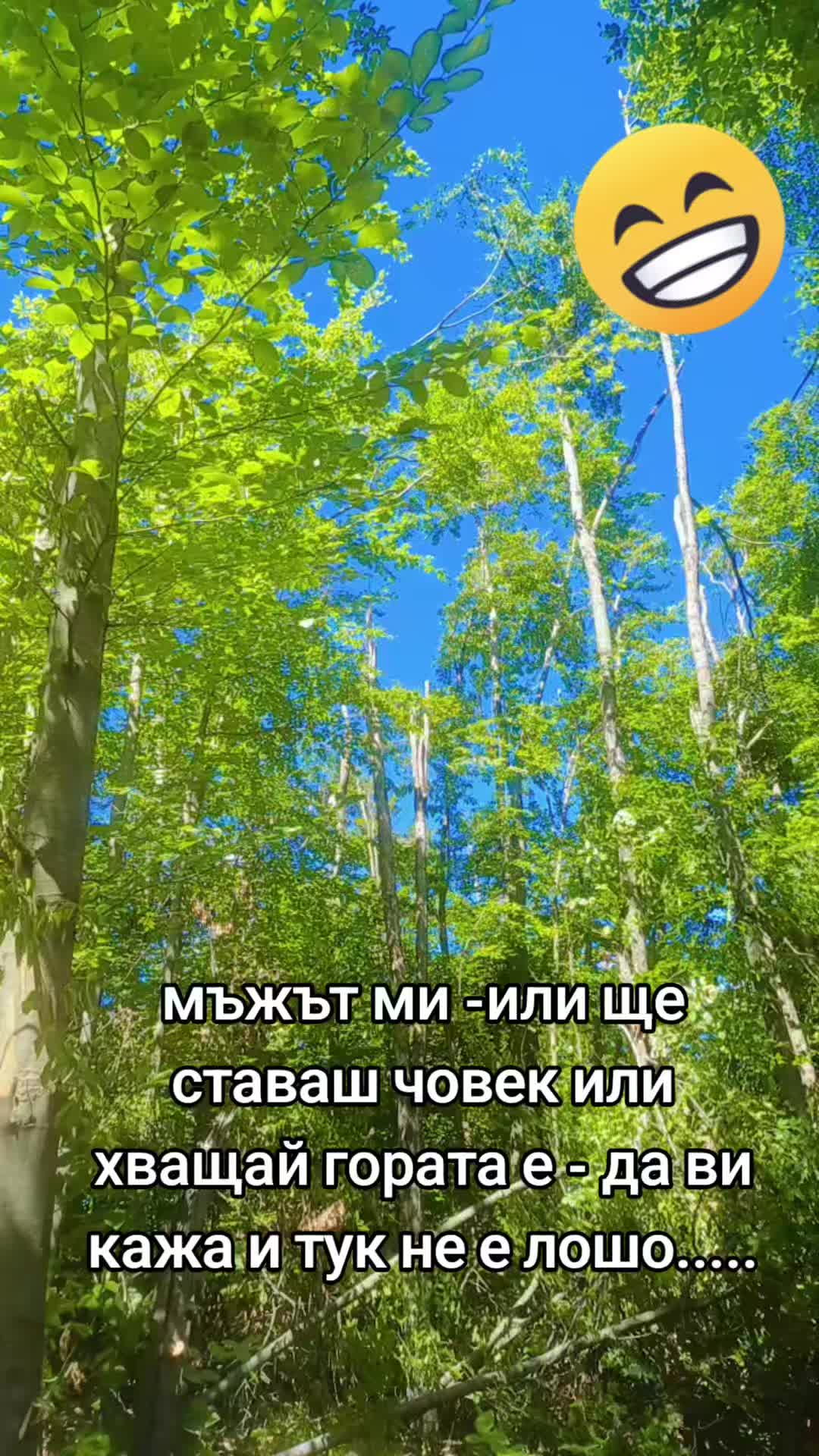 @розалиа василева