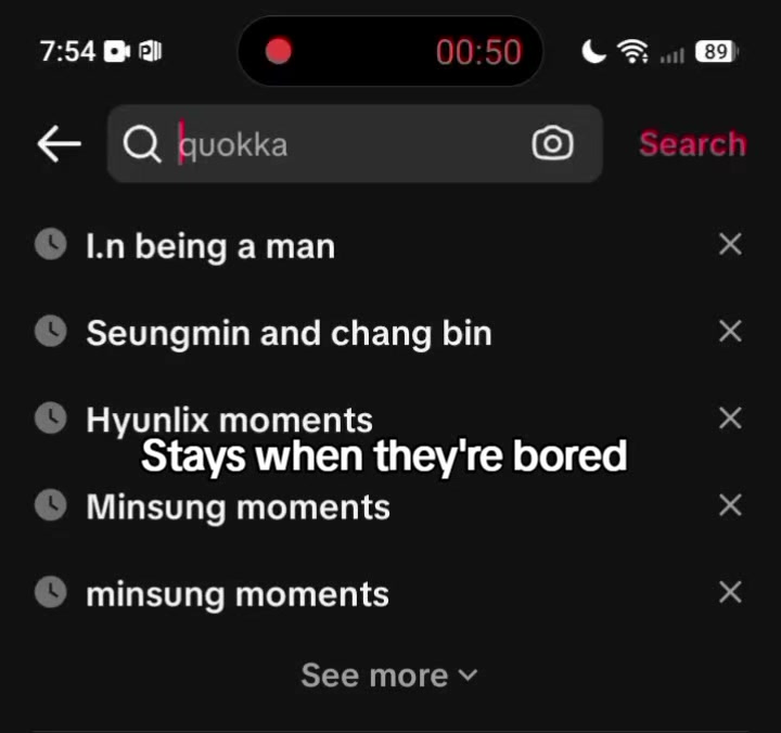 @스트레이 키즈