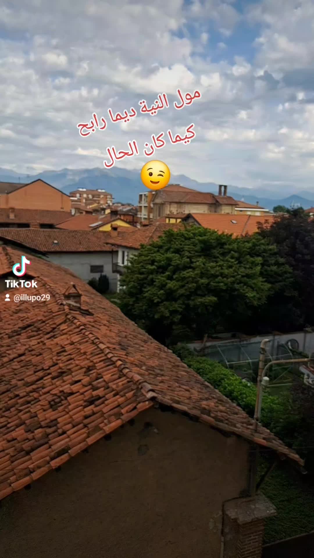 @illupo29