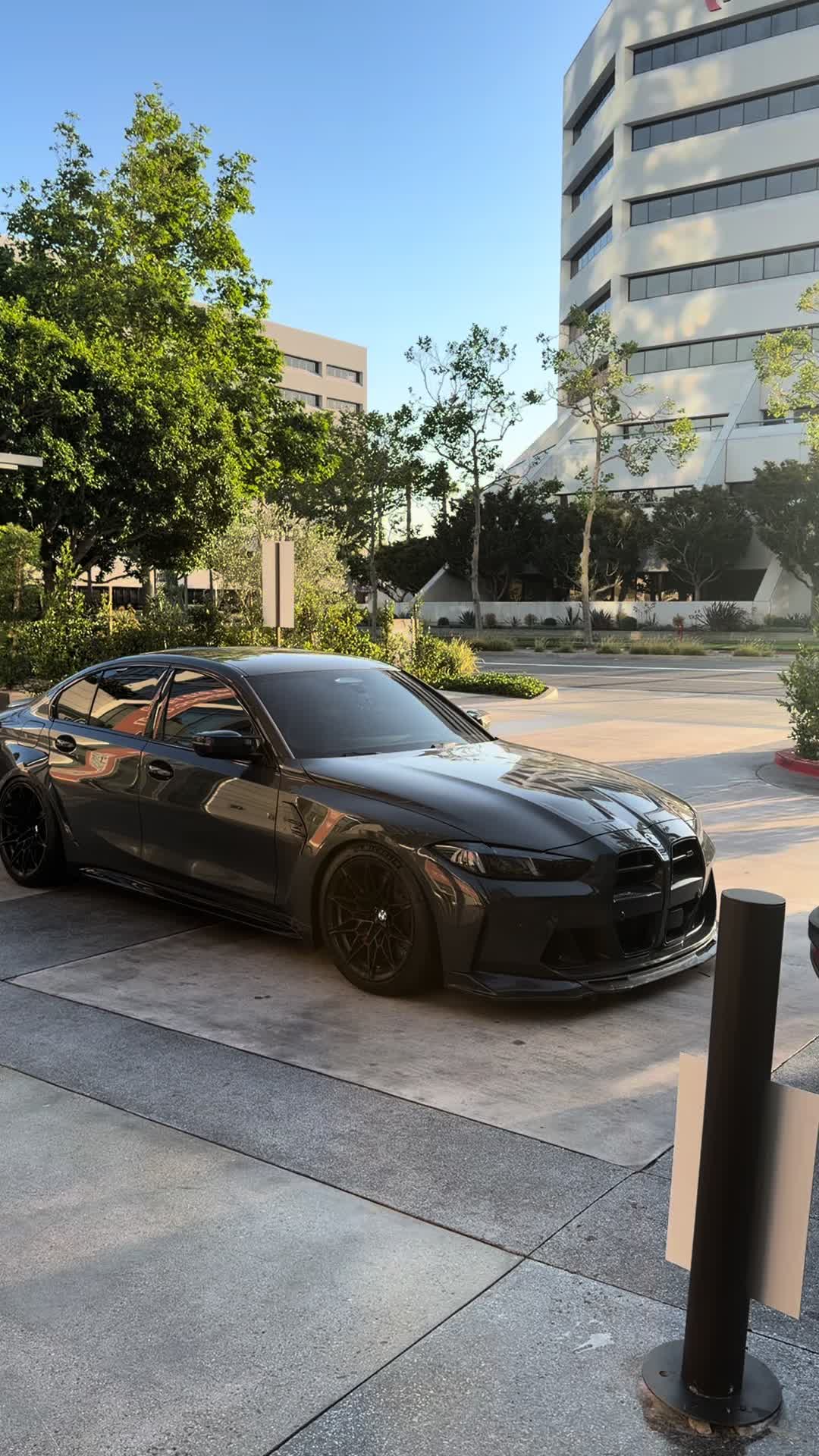 @sheeshg8x