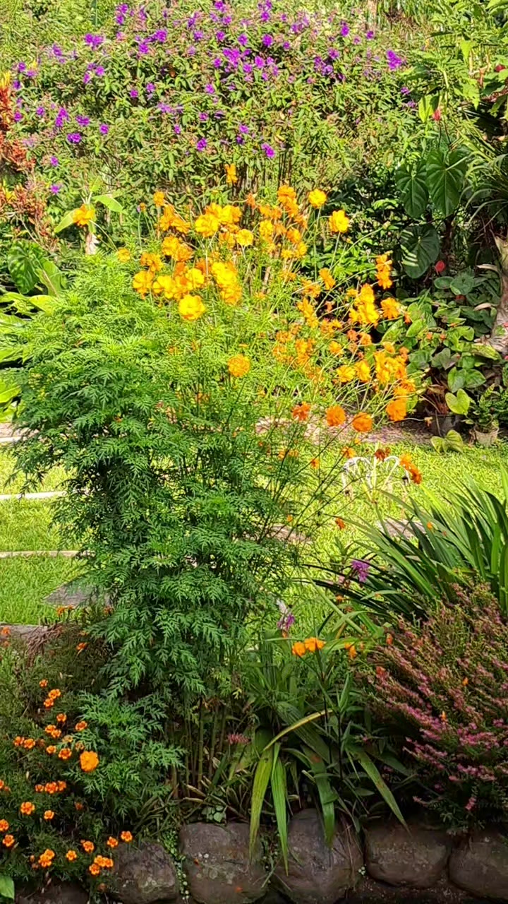 @dewidailylife