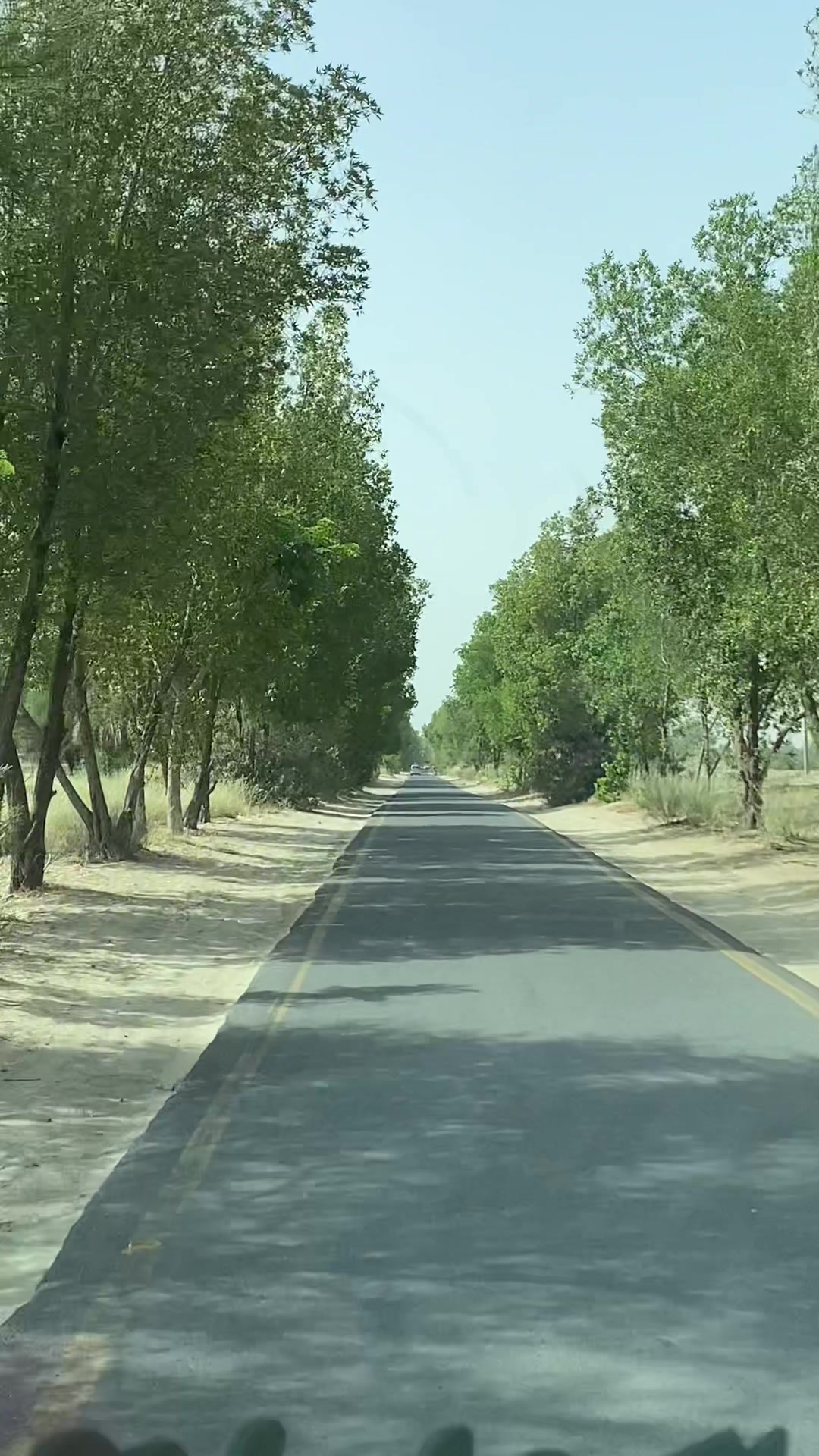 @شیرگڑھ تھل💫