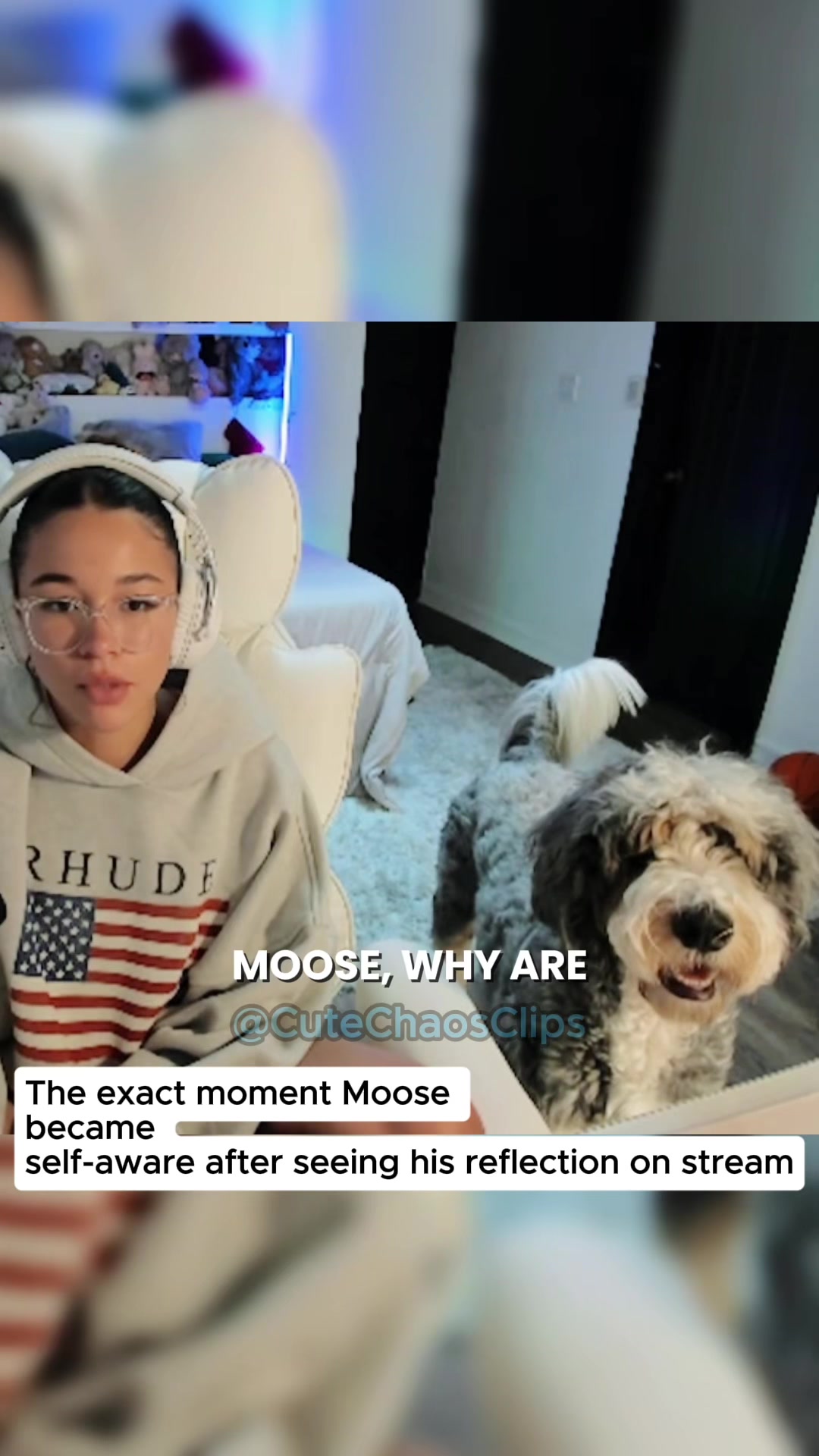 @CuteChaosClips