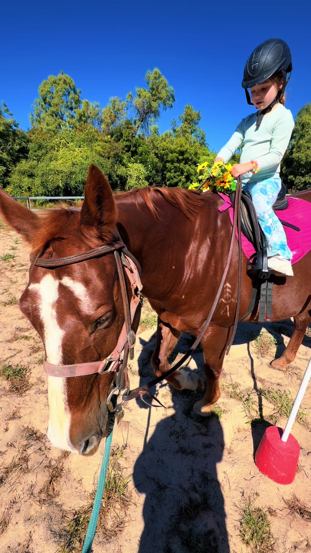 @Stable Connection