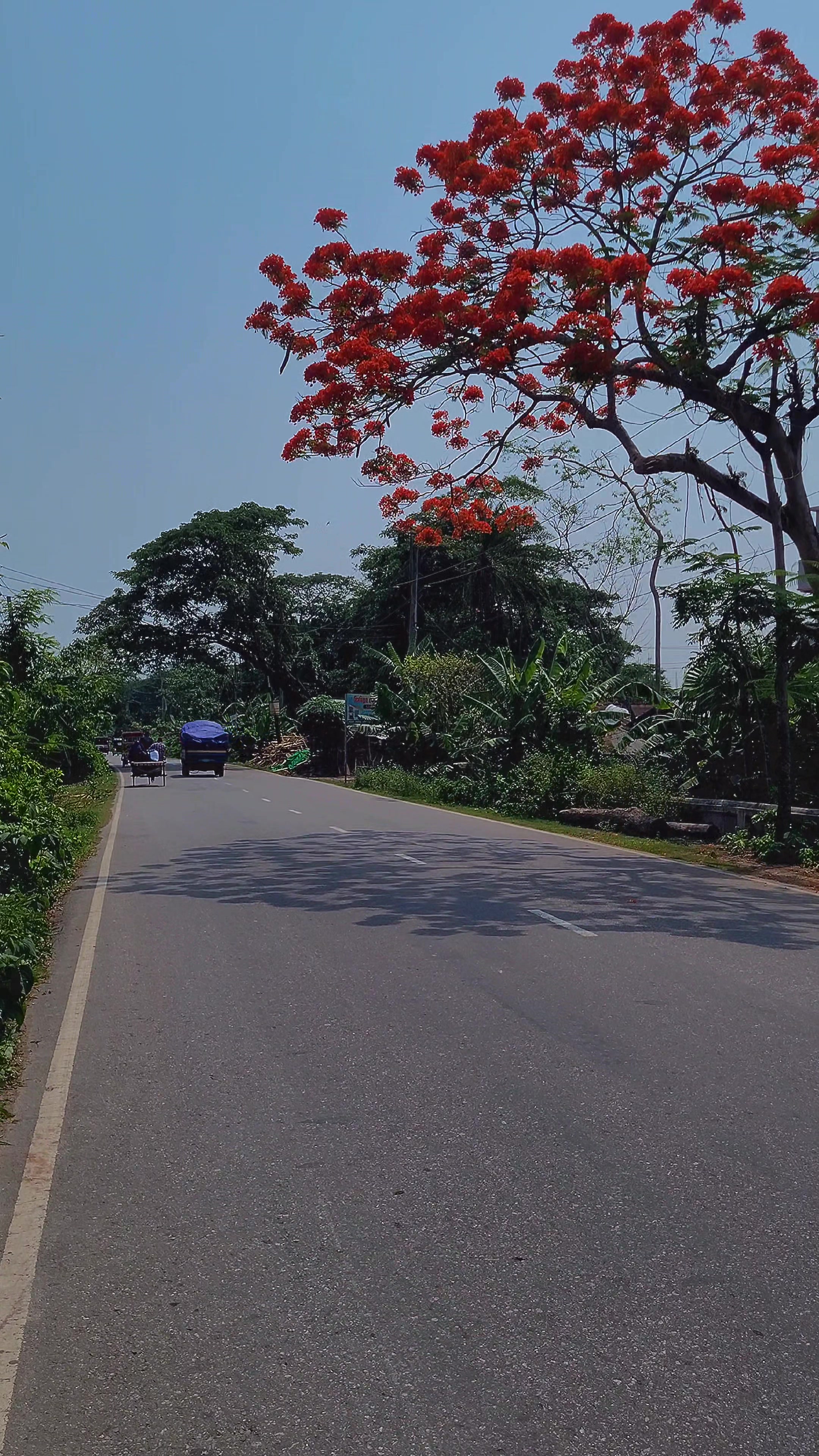 @Close to Nature. 🇧🇩