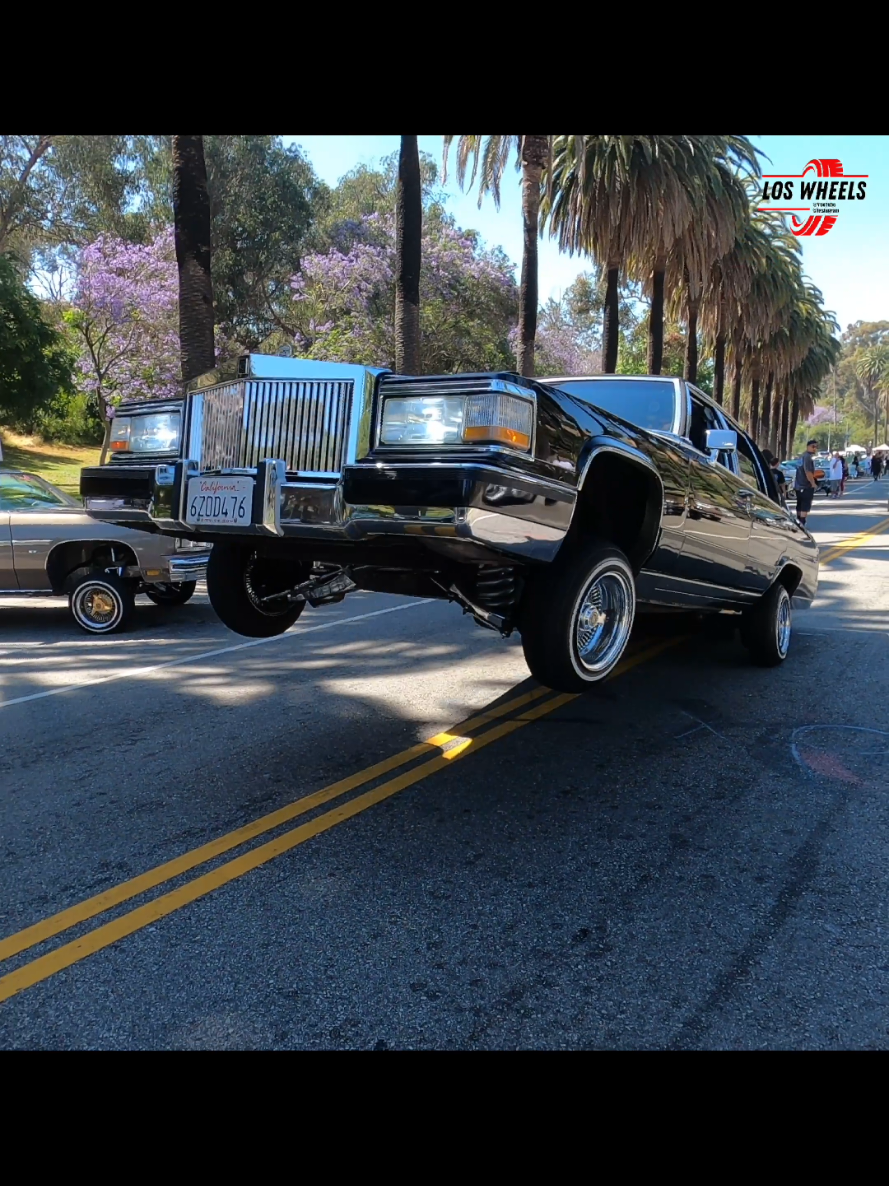 @Los Wheels