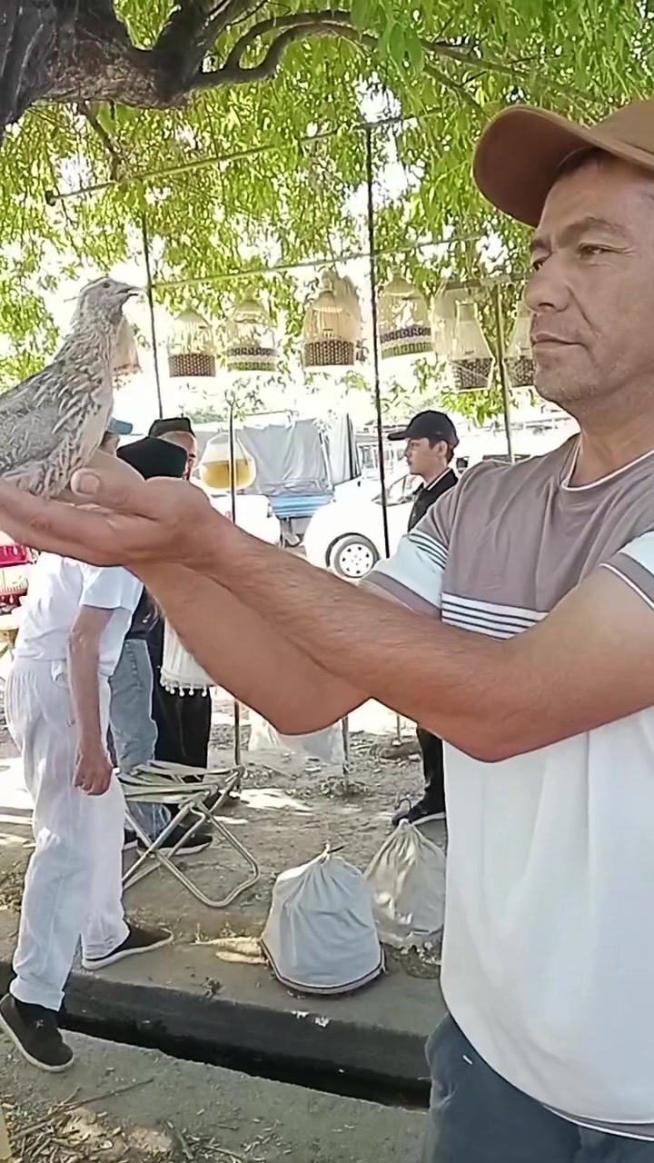 @SAYROQI BEDANA UZB 🇺🇿