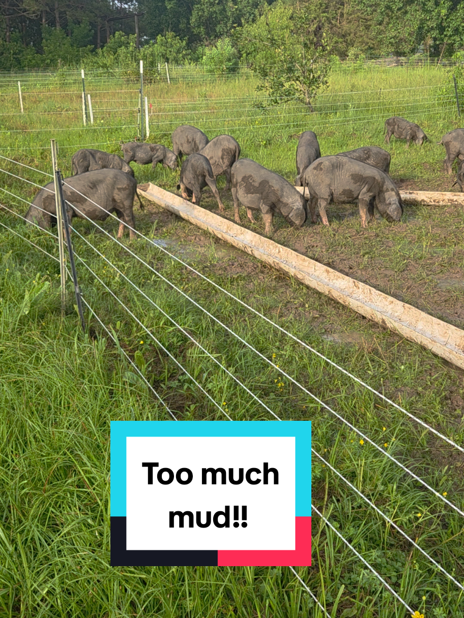 @DelaterrePermacultureFarm