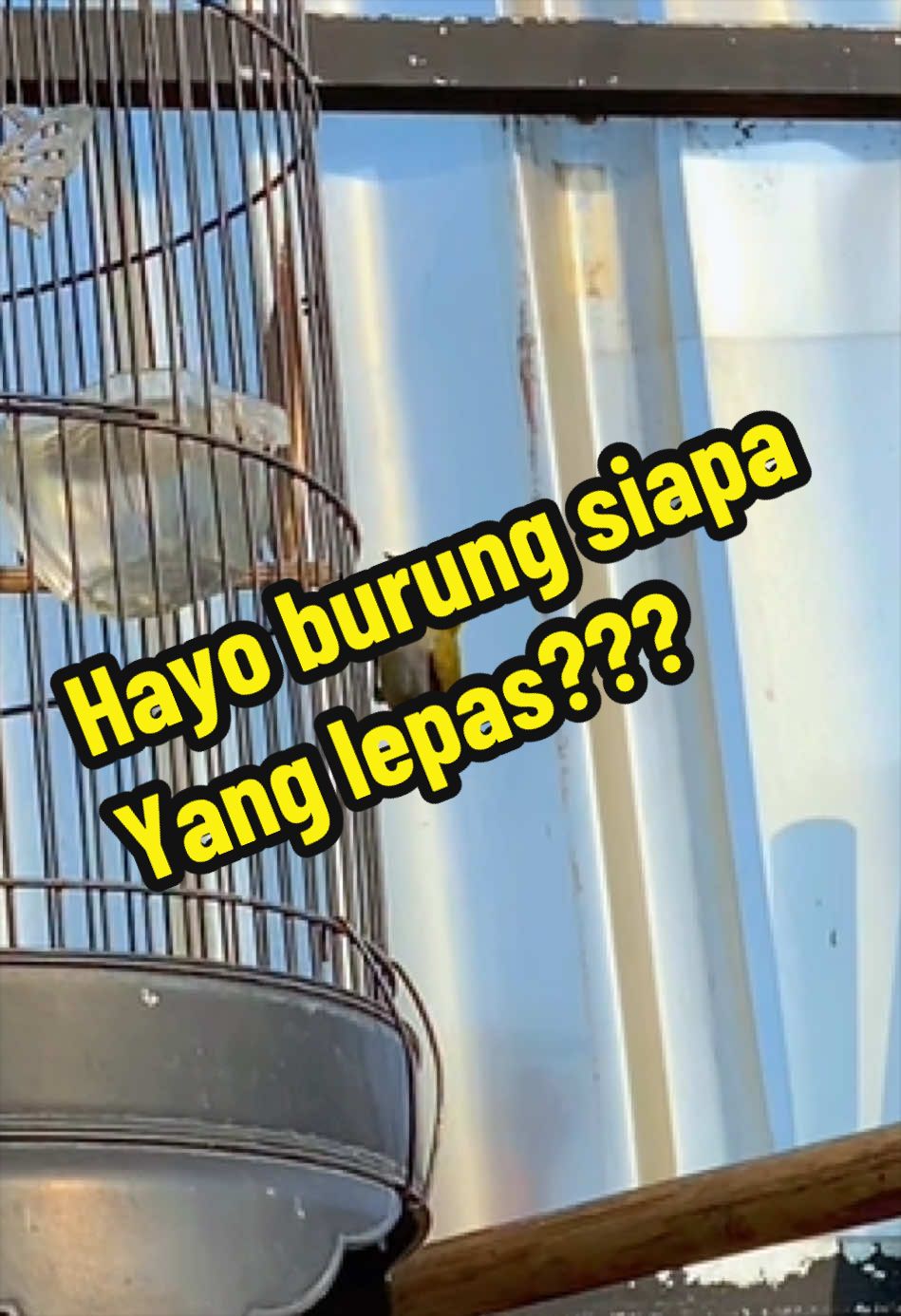 @GeDang Manuk