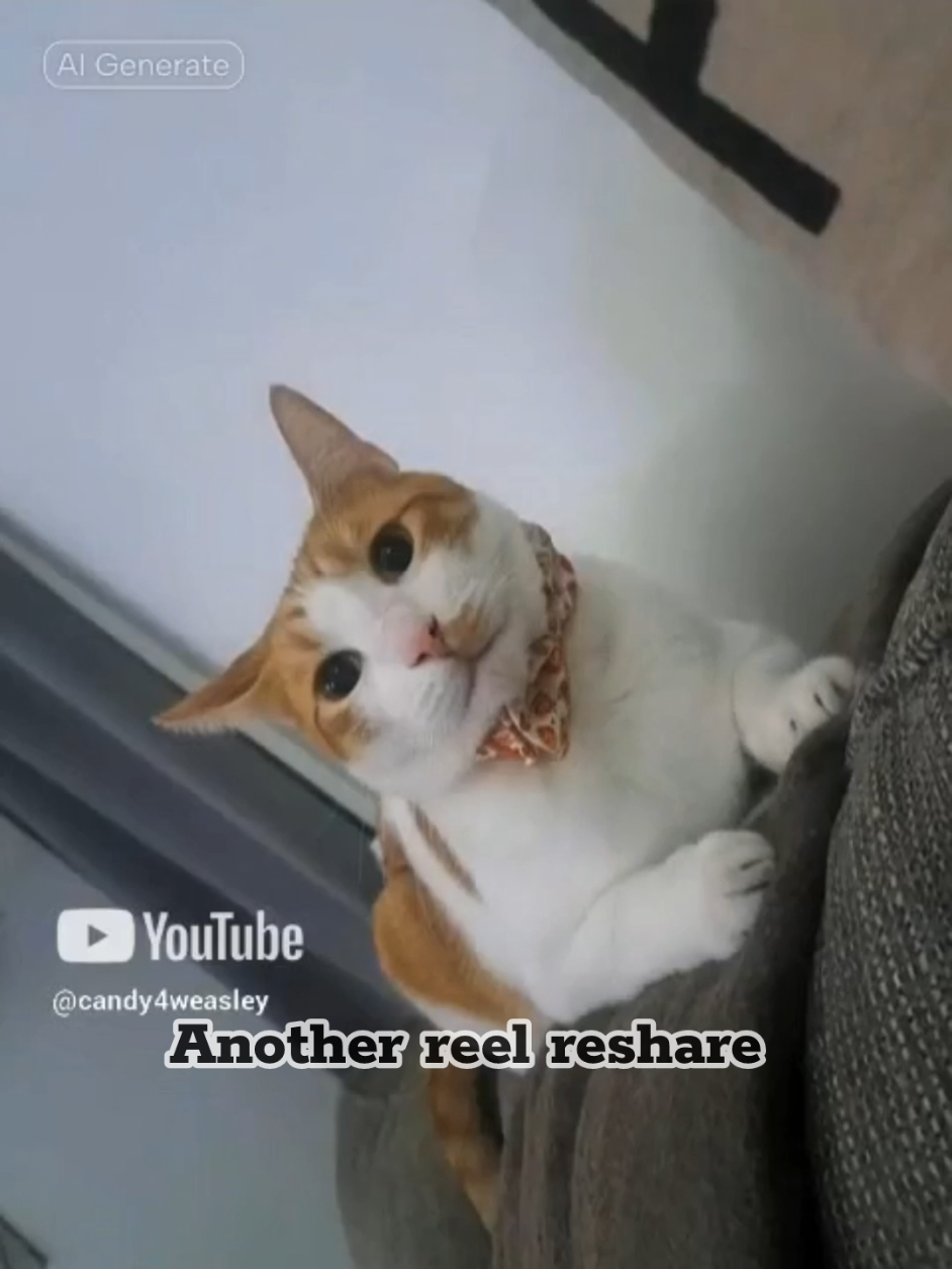 @Candice & Weasley