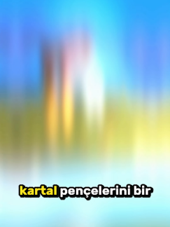 @pzquinniyahzhurii