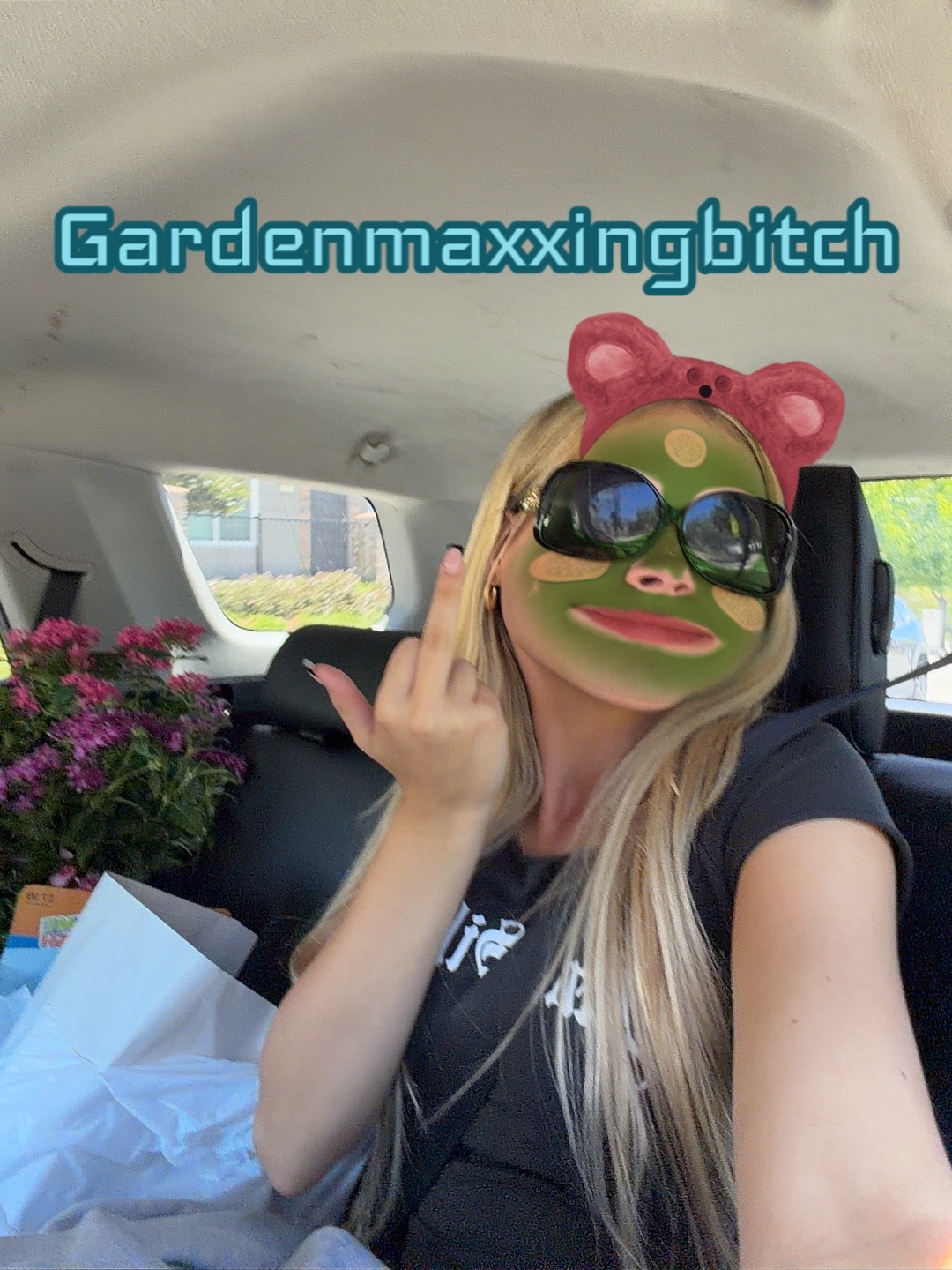 @mykittencatslipperscop3