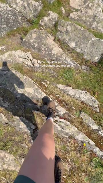 @thetagglife