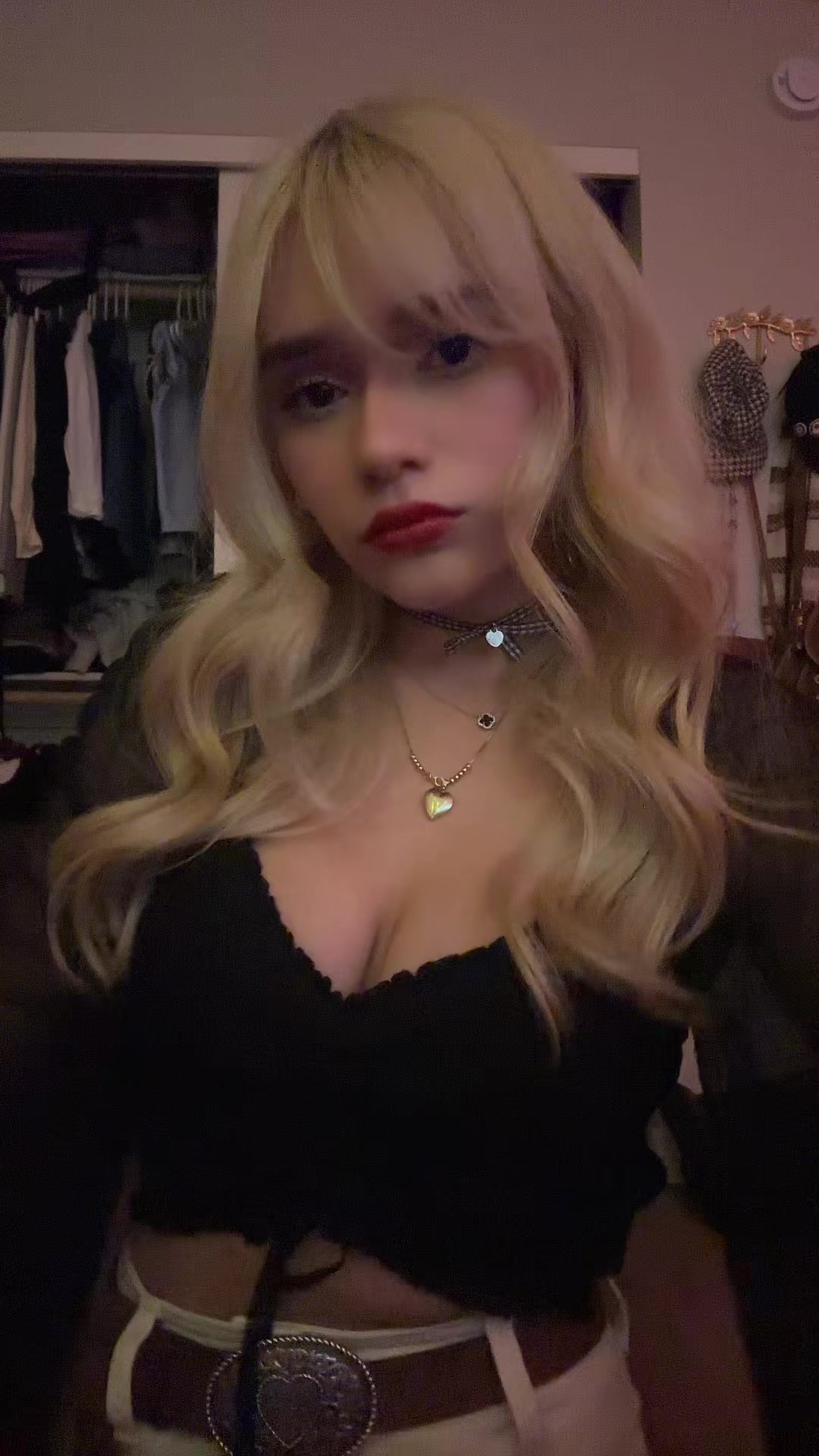 @dinopawwz