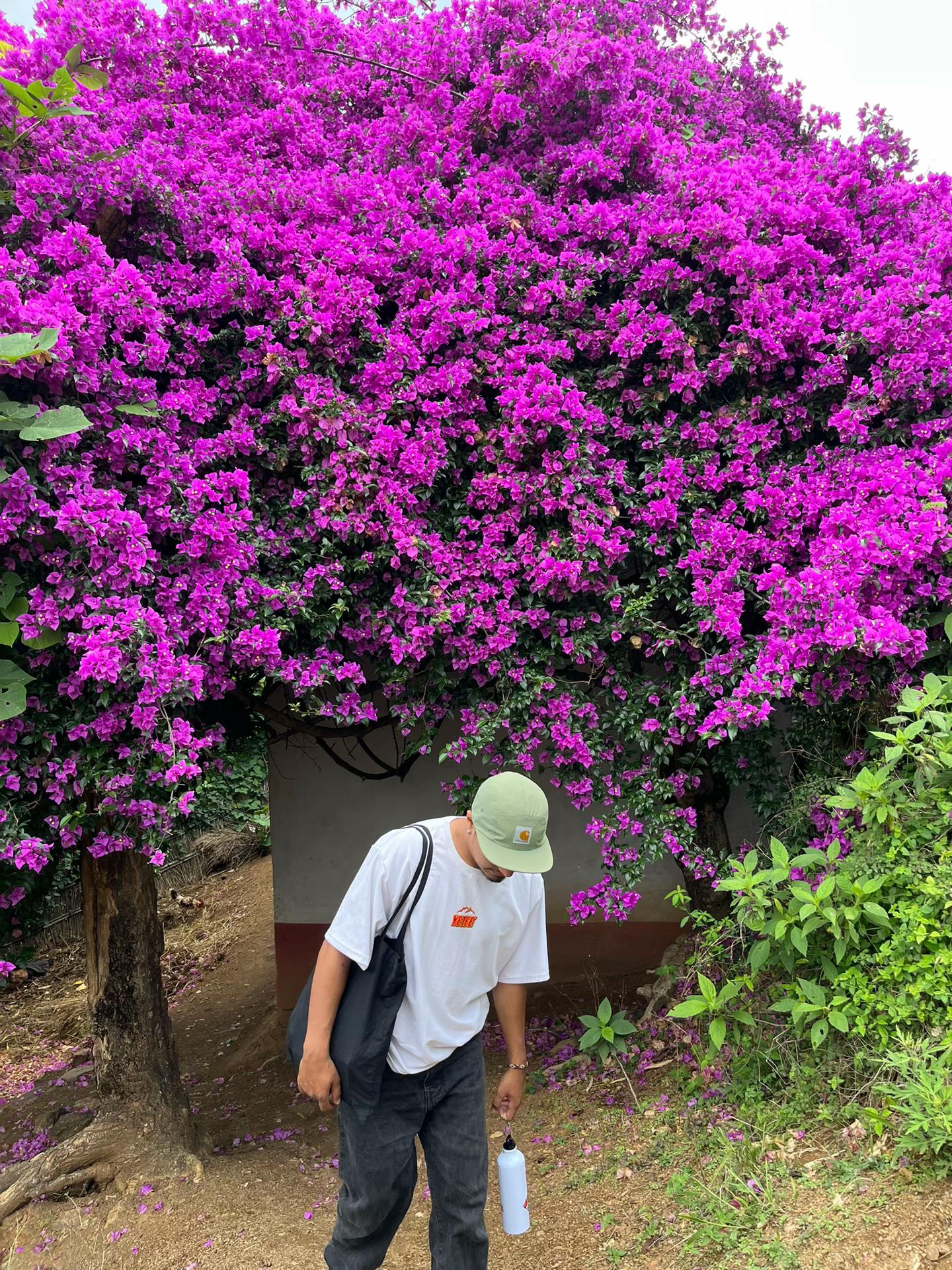 @अनन्त ☘️
