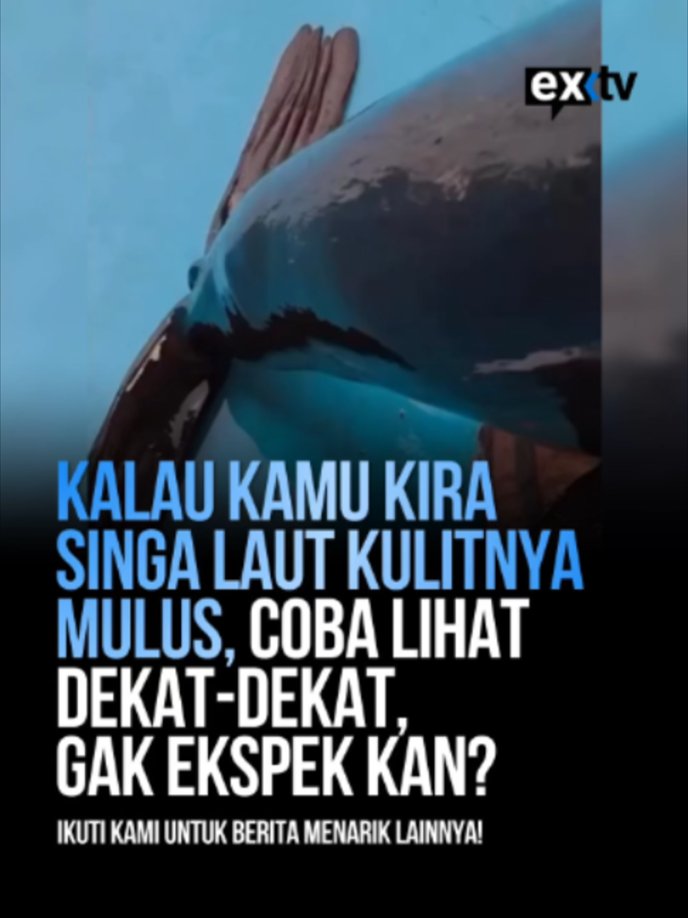 @Expressi Media