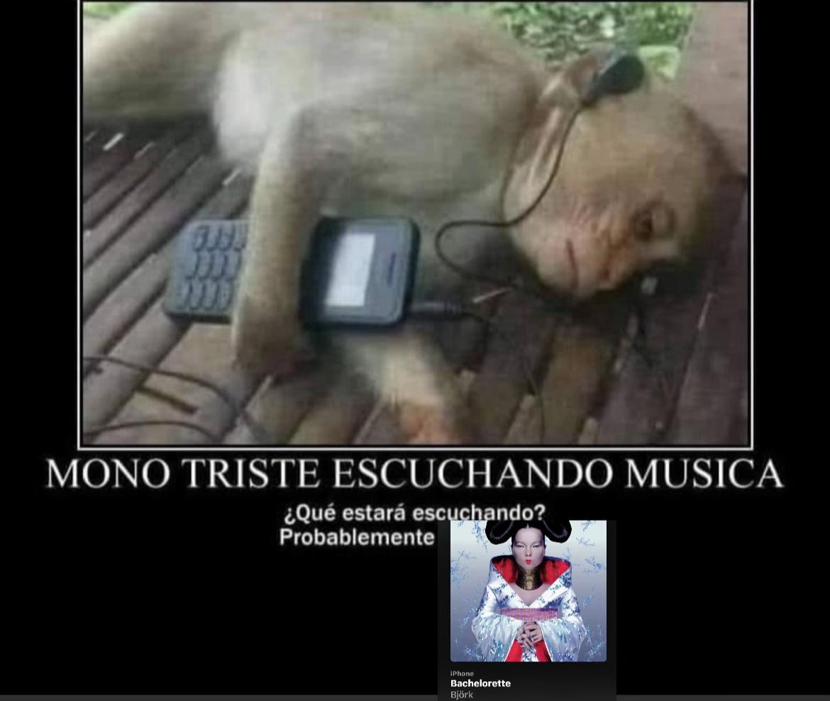 @bjork_momazos