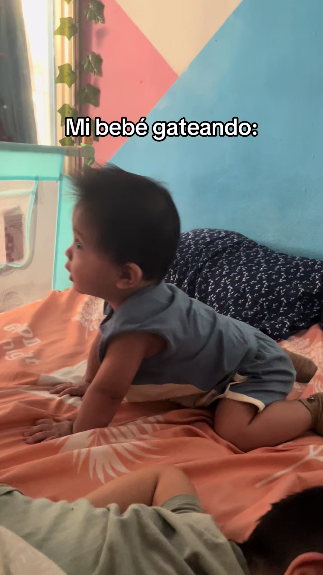 @L C D