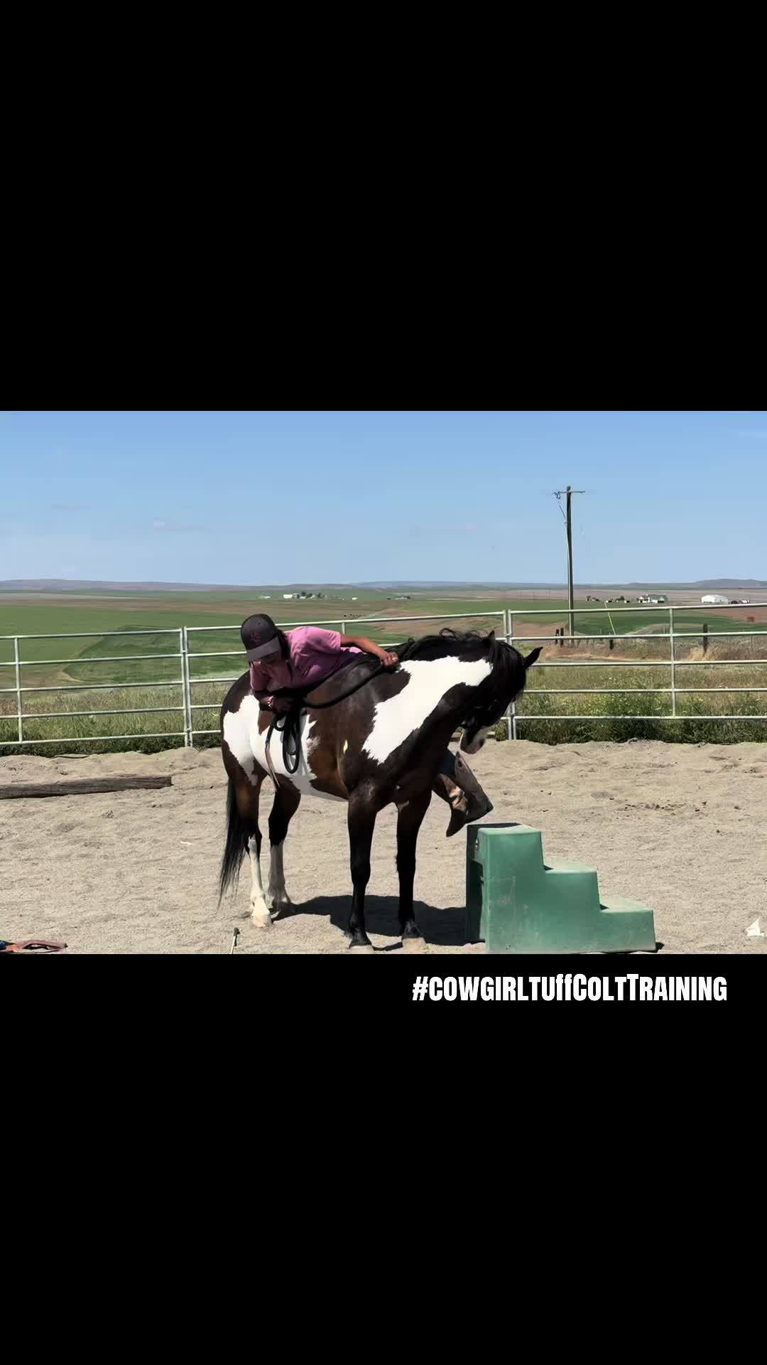 @Cowgirl Tuff Colt Training ❤️