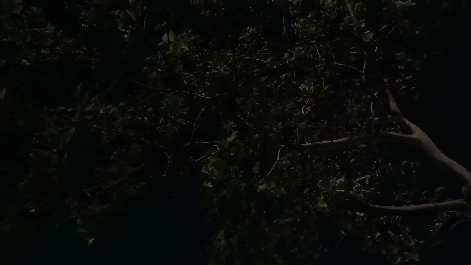 @احمد🫀