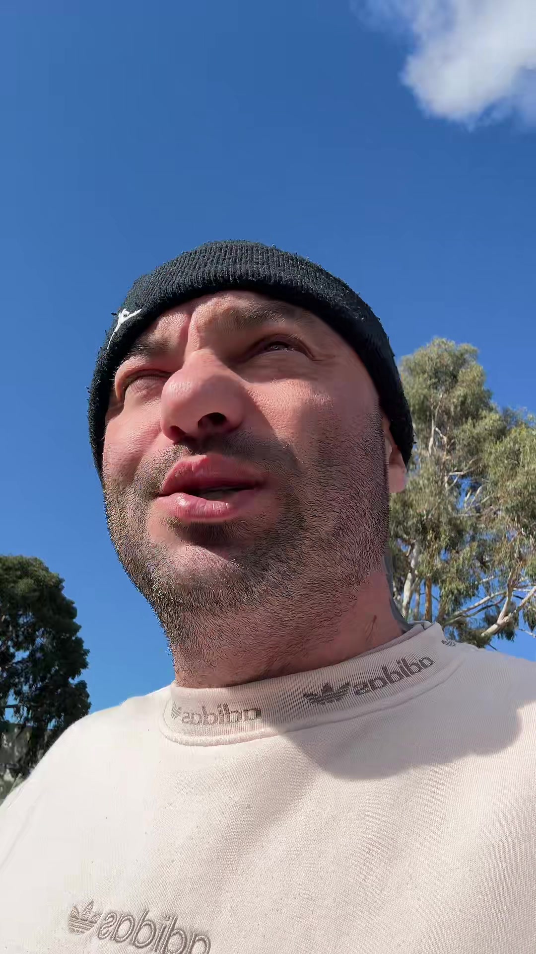 @Jungle &copy;️ 🇮🇹-🇹🇷-🇦🇺