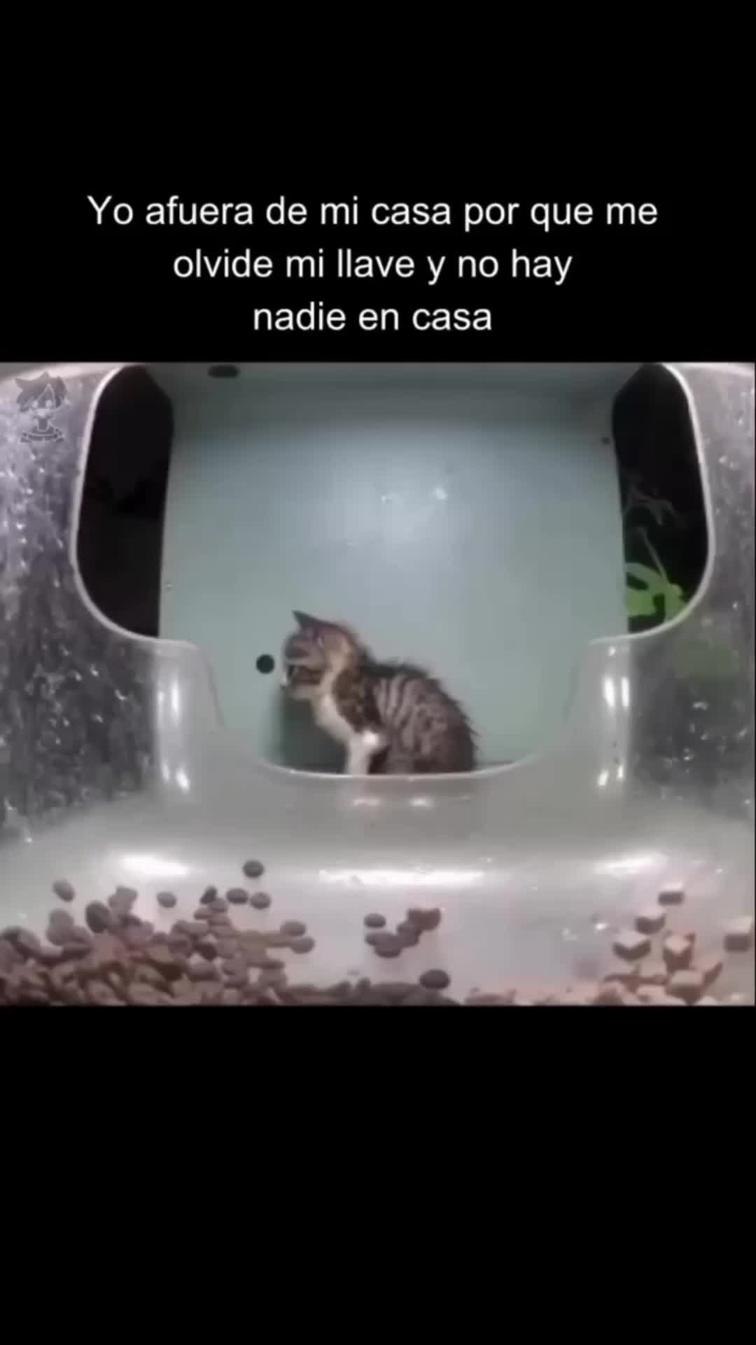 @Memes Deapeso