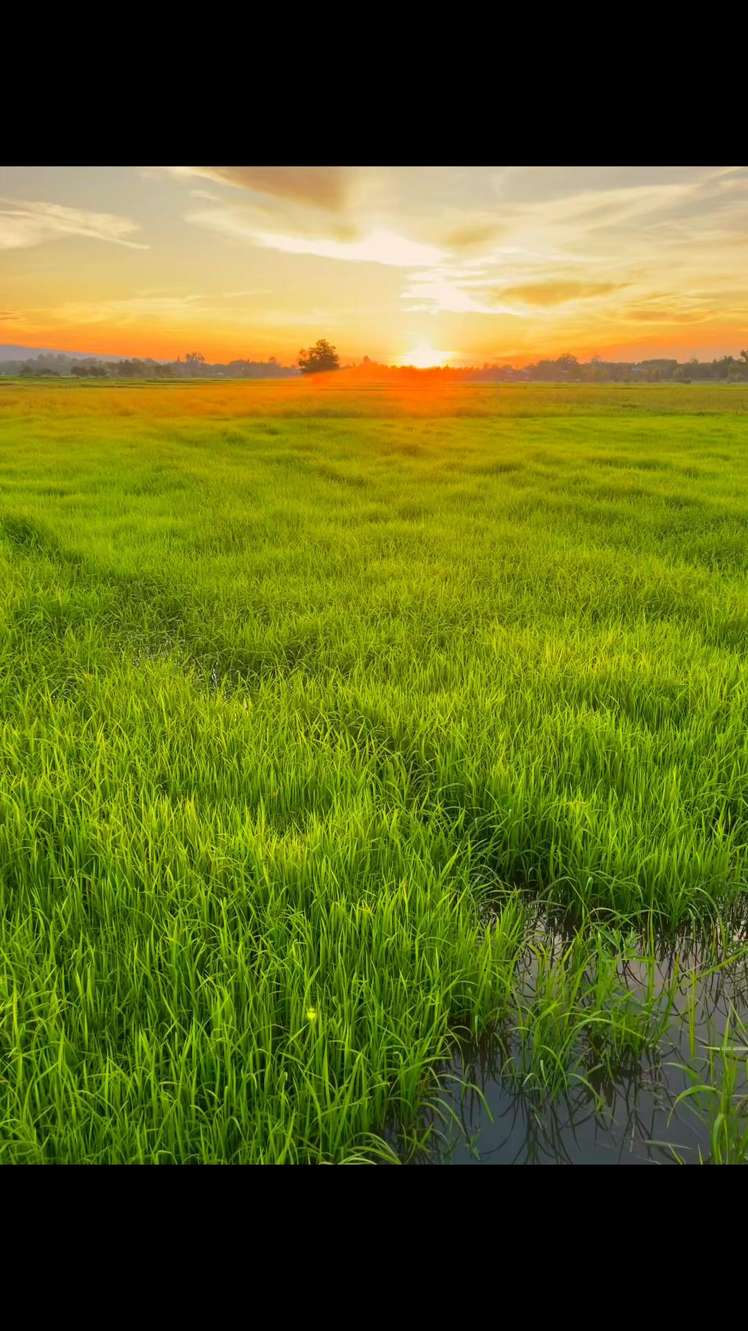 @คนเลาะน้ำ V1