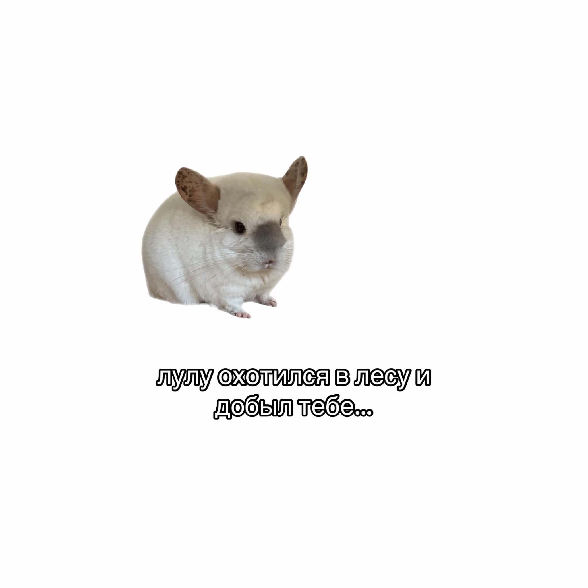 @Лулу