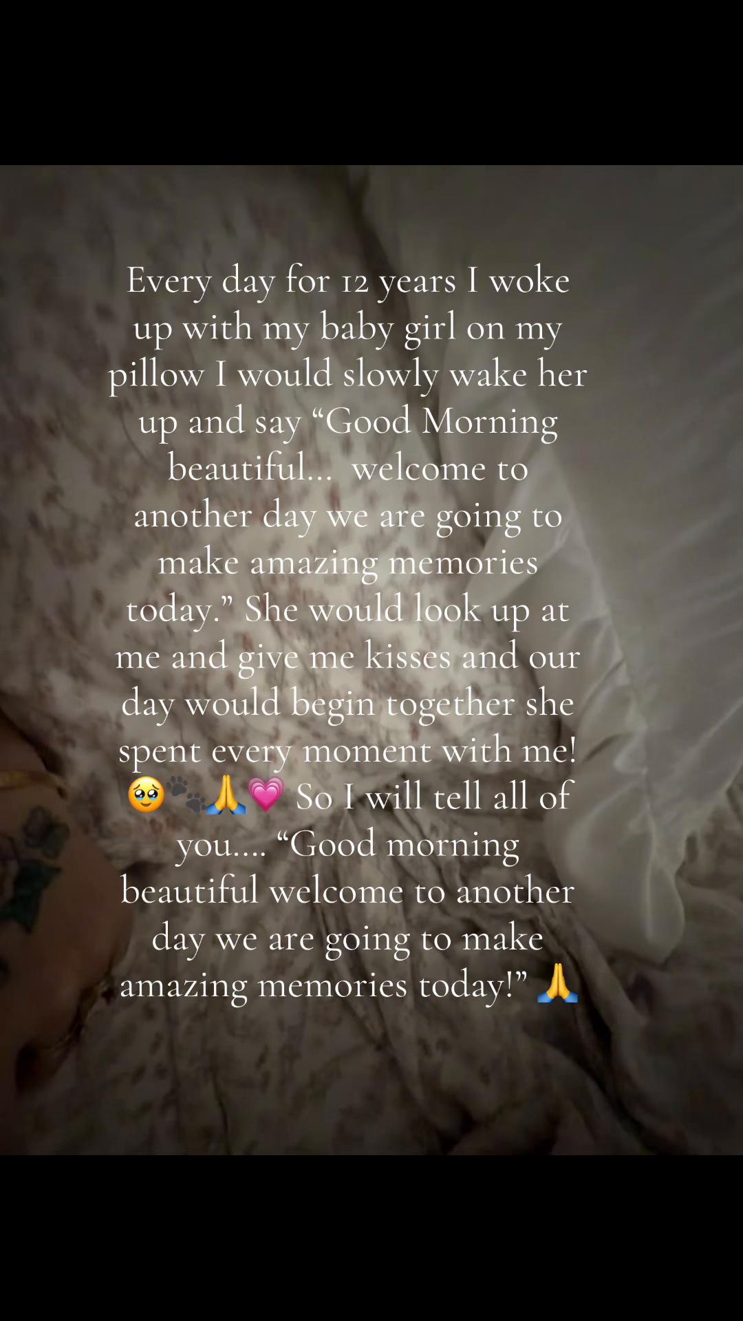 @Tinytiffytheteacupchihuahua