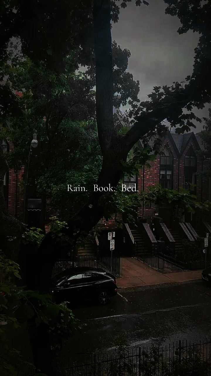 @Quiet Elsewhere | 📚🍁💌