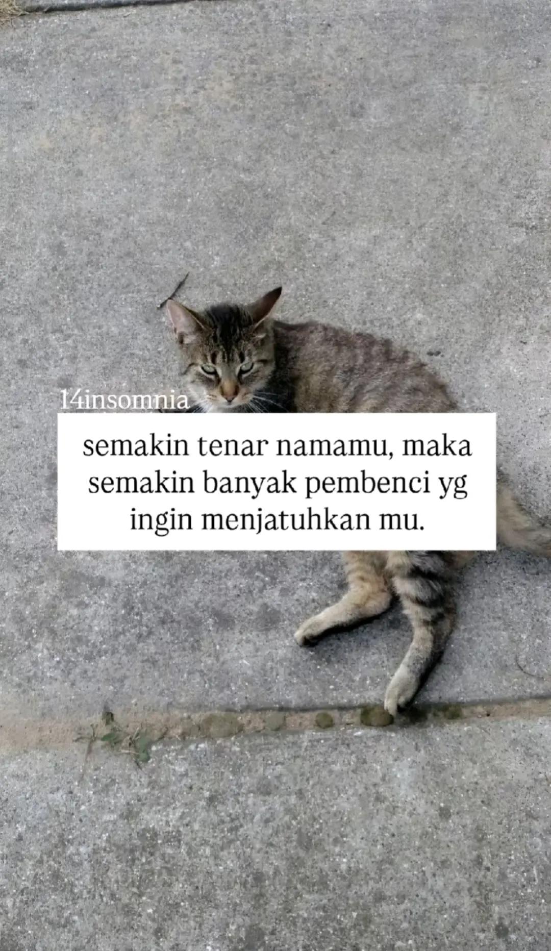@YanHoree🦖
