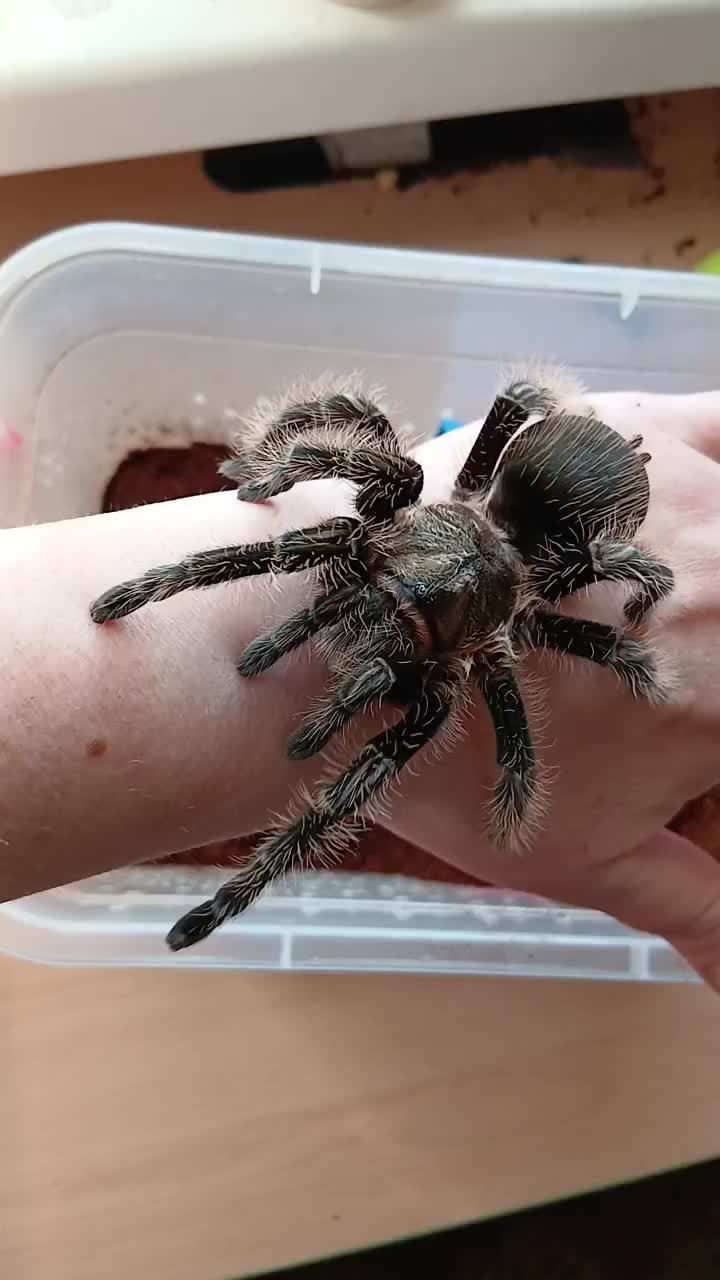 @Катя