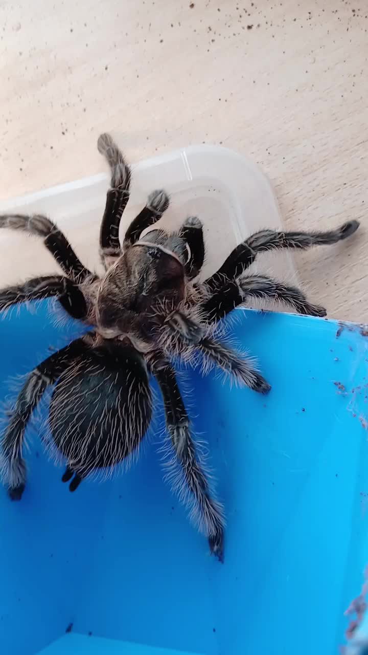 @Катя