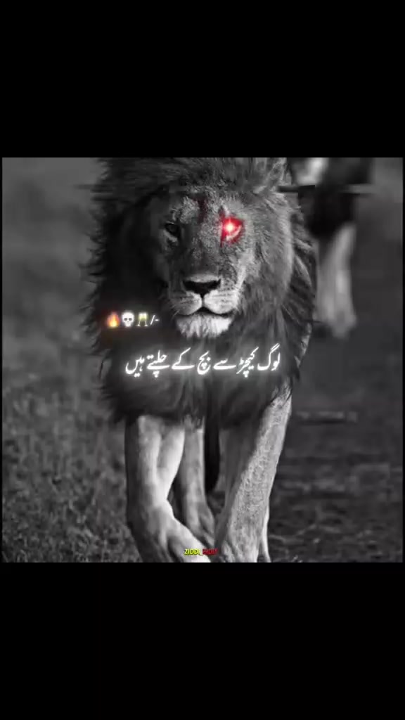 @Ajmal 💔🥀S👈
