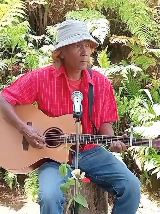 @amirson