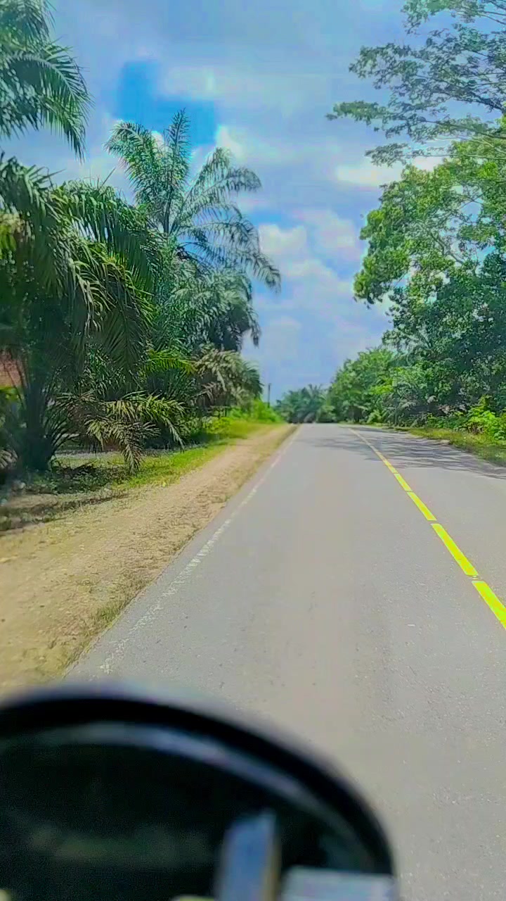 @Ginok5