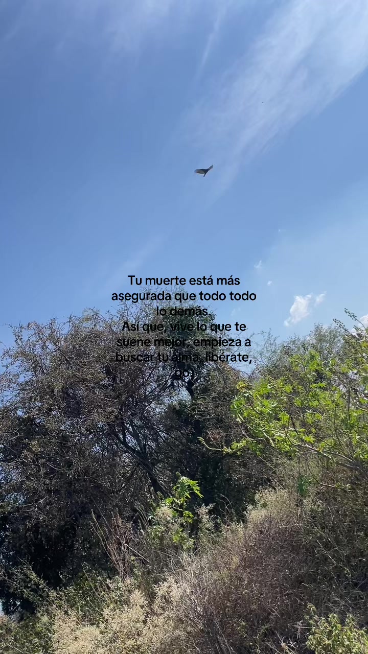 @Salma Mora