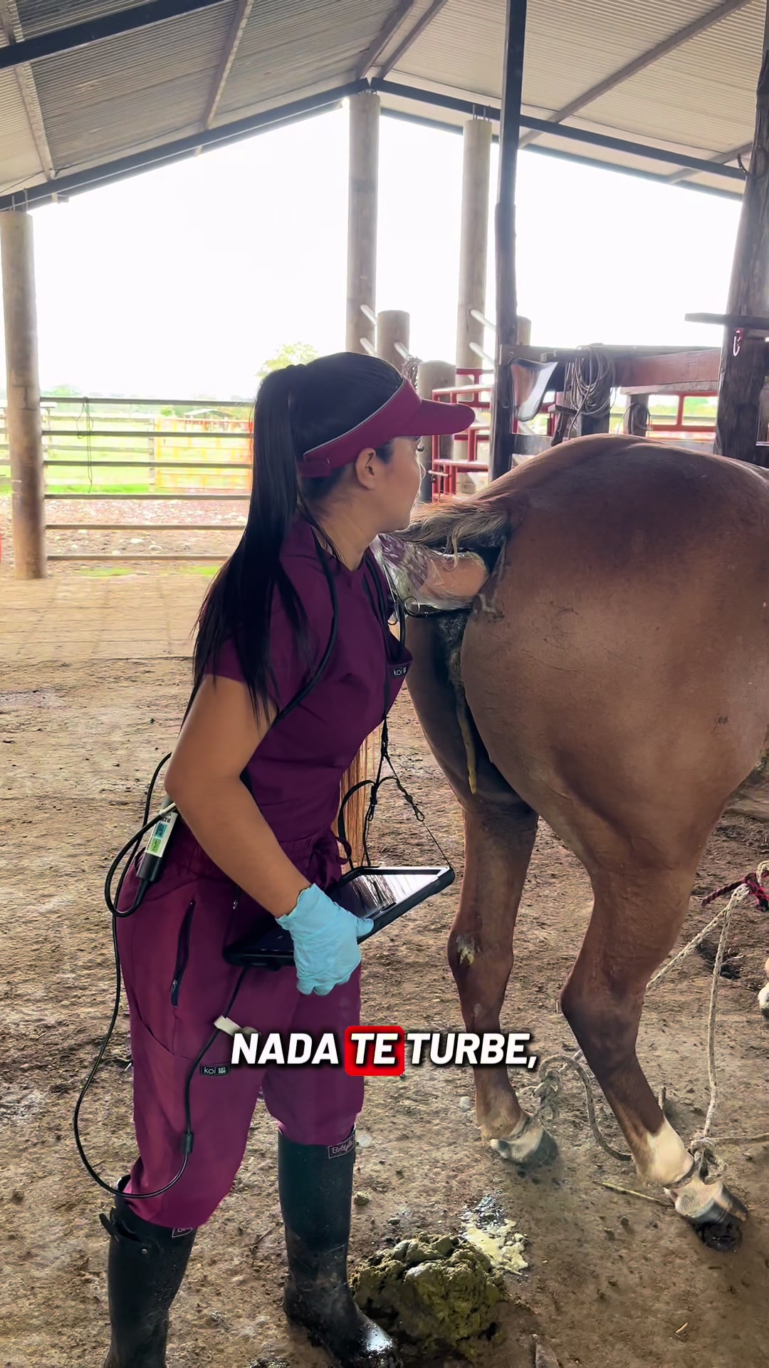 @Dra. Jessica Casas 👩🏻&zwj;⚕️🐴