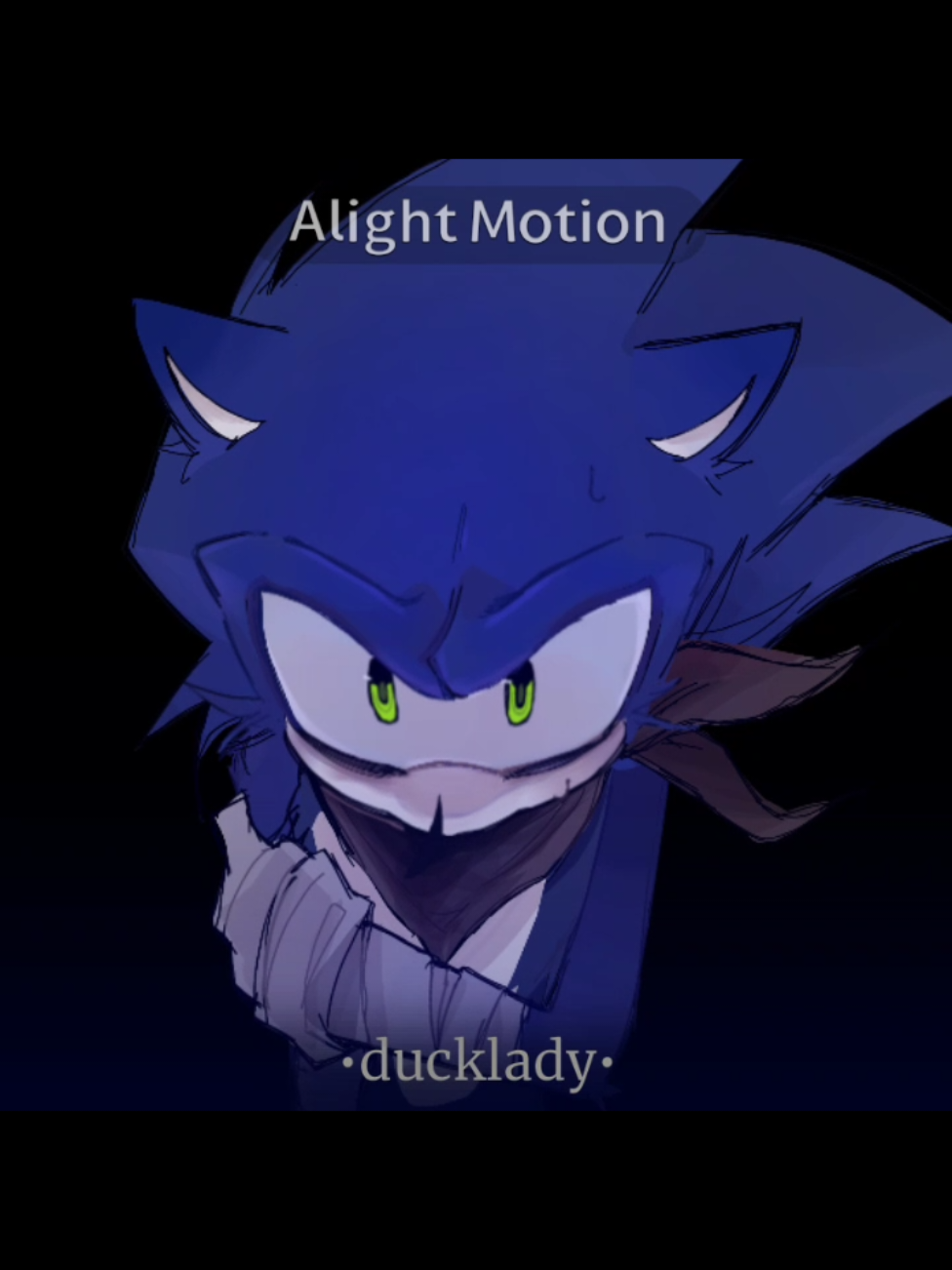@• DUCKLADY •