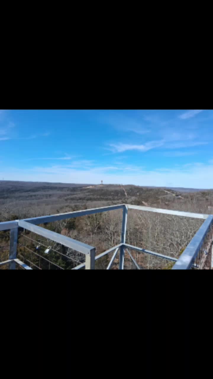 @ynot