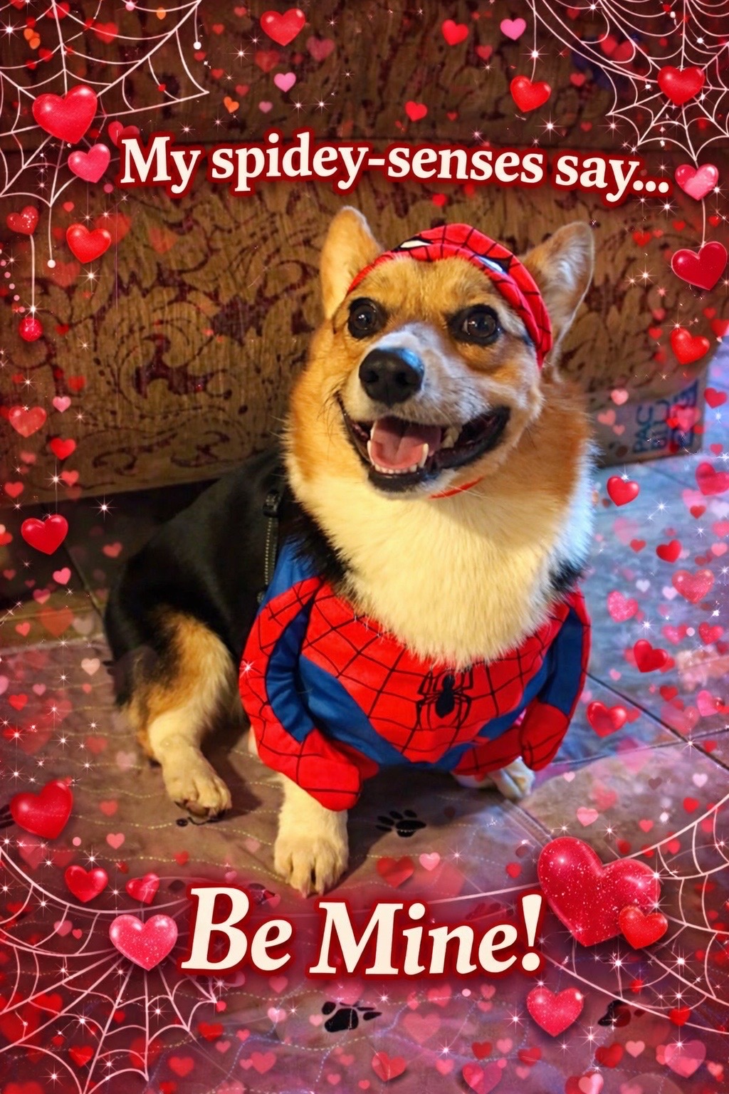 @hasbithecorgi