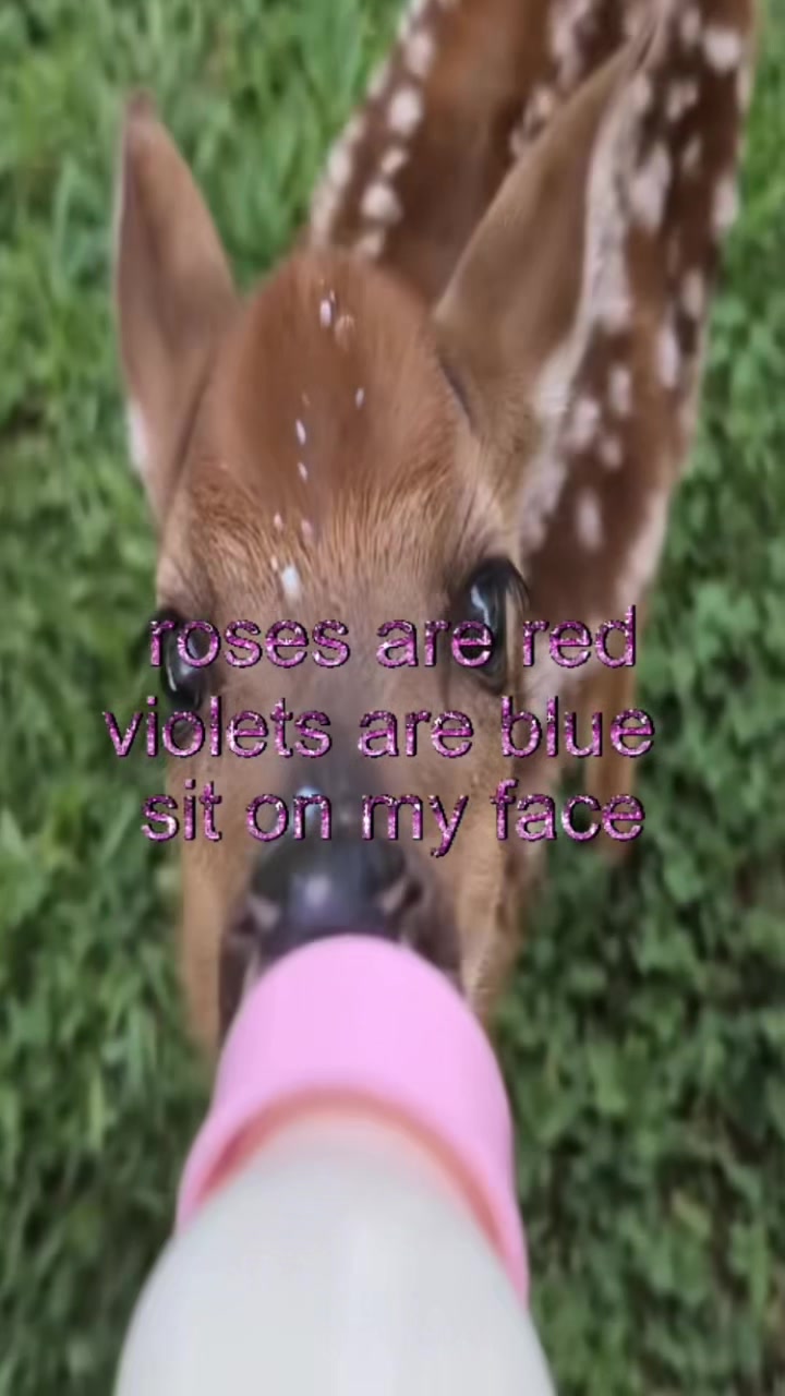 @livinlikedis