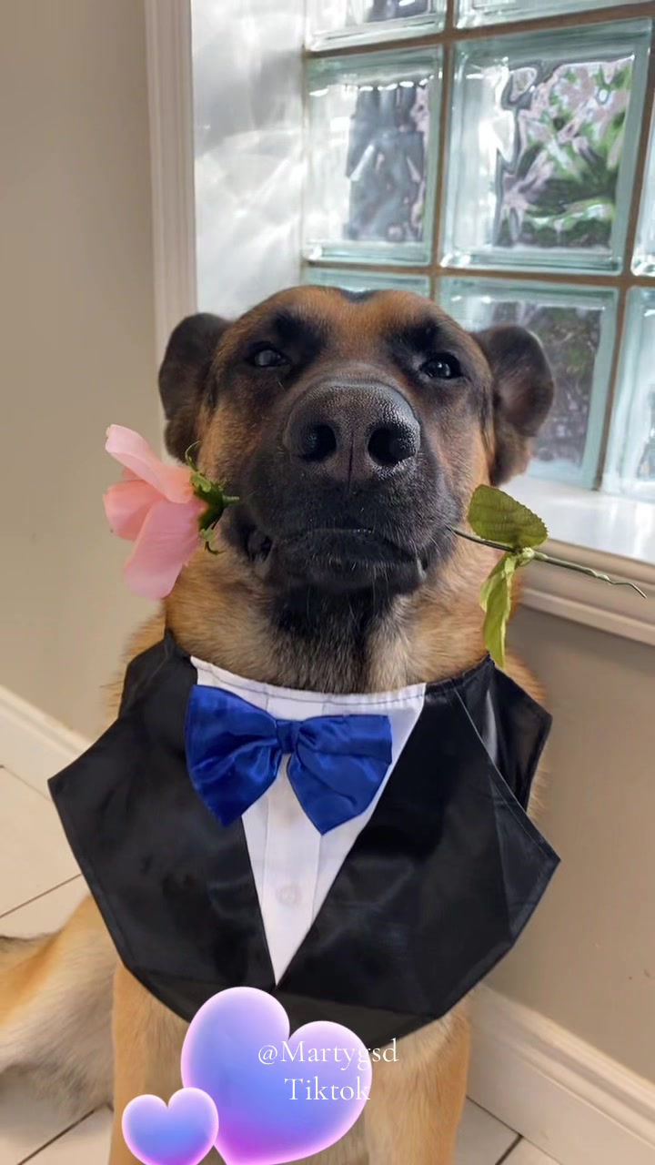 @Martygsd