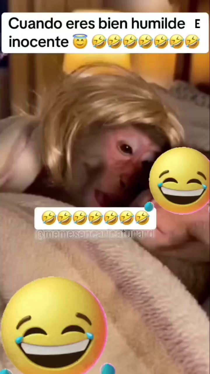 @@tiasussyvirtual