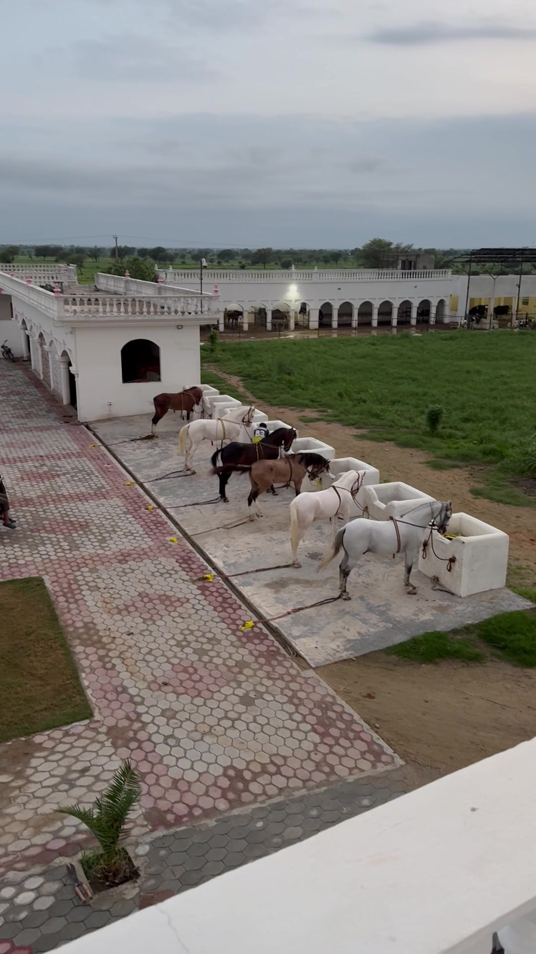 @Raja Farm House and stable