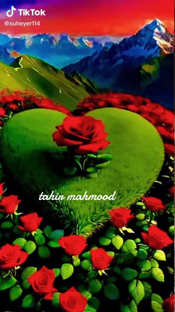 @Tahir Mahmood