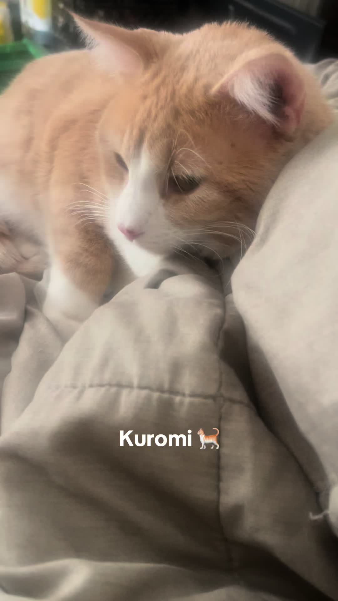 @FIVSR